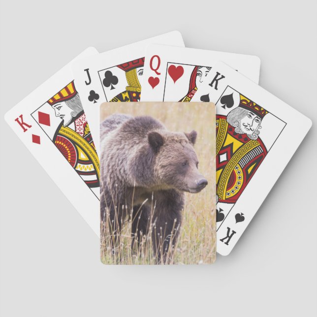 USA, Wyoming, Yellowstone National Park, Grizzly 3 Playing Cards (Back)