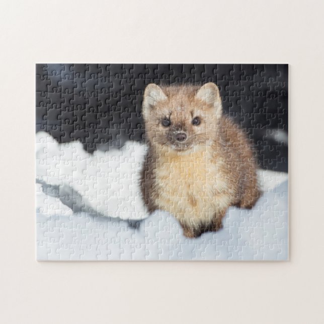 USA, Wyoming, Yellowstone National Park Jigsaw Puzzle (Horizontal)