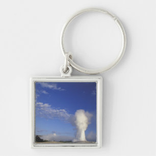 USA, Wyoming. Yellowstone National Park. Old Key Ring
