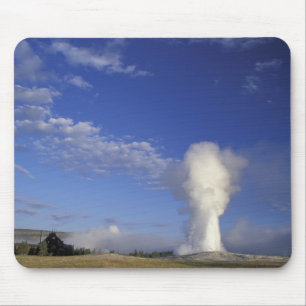USA, Wyoming. Yellowstone National Park. Old Mouse Pad