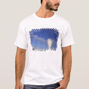USA, Wyoming. Yellowstone National Park. Old T-Shirt