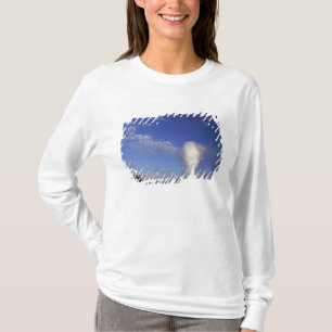 USA, Wyoming. Yellowstone National Park. Old T-Shirt