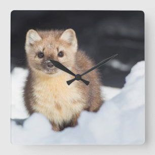 USA, Wyoming, Yellowstone National Park Square Wall Clock