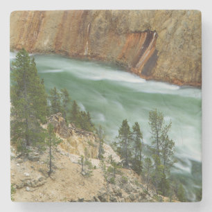 USA, Wyoming, Yellowstone National Park Stone Coaster