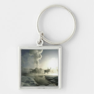 USA, Wyoming, Yellowstone National Park. Sunrise Key Ring