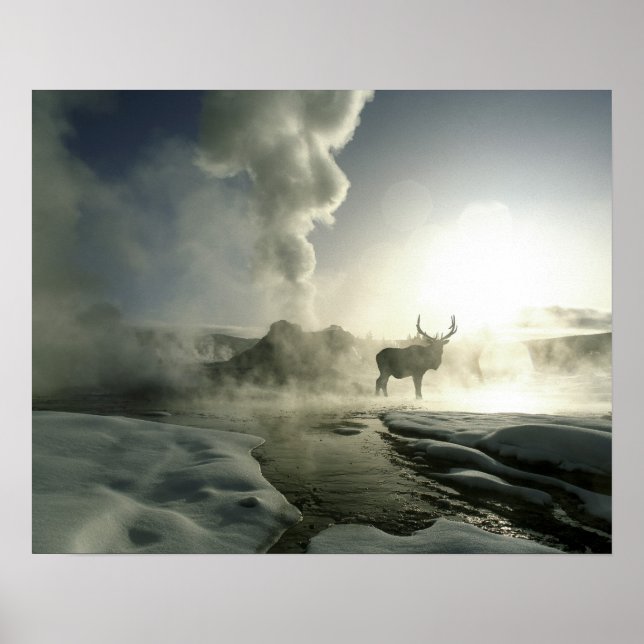 USA, Wyoming, Yellowstone National Park. Sunrise Poster (Front)