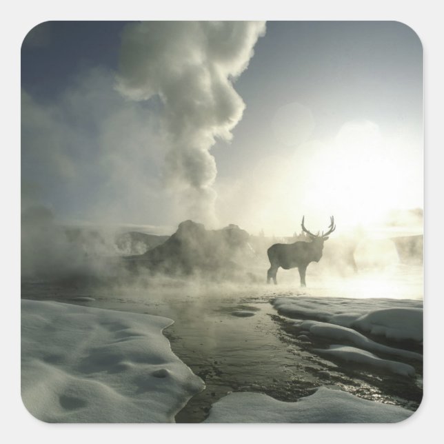 USA, Wyoming, Yellowstone National Park. Sunrise Square Sticker (Front)