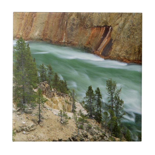 USA, Wyoming, Yellowstone National Park Tile (Front)