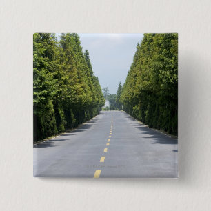 USA, Yellowstone National Park, Treelined road 15 Cm Square Badge