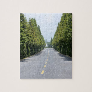 USA, Yellowstone National Park, Treelined road Jigsaw Puzzle