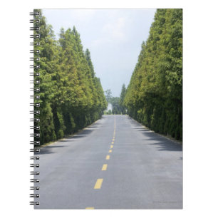 USA, Yellowstone National Park, Treelined road Notebook