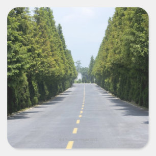USA, Yellowstone National Park, Treelined road Square Sticker