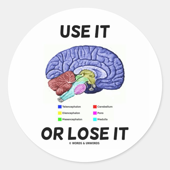 Use It Or Lose It (Brain Anatomy Humour Saying) Classic Round Sticker (Front)