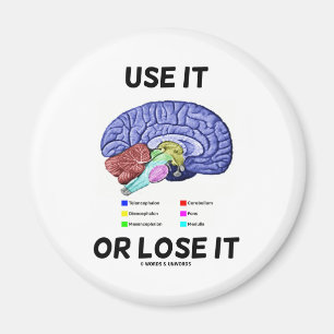 Use It Or Lose It (Brain Anatomy Humour Saying) Magnet