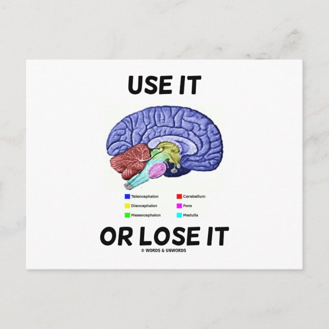 Use It Or Lose It (Brain Anatomy Humour Saying) Postcard (Front)