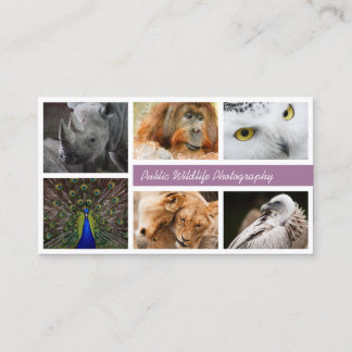 Use Your Own Photography Business Card
