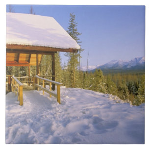 USFS Schnauss Cabin rental in Winter ovelooking Tile