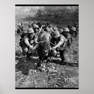 Using every available means_War Image Poster