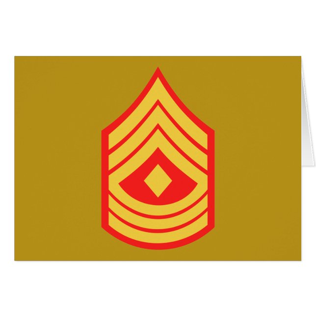 USMC 1st Sgt First Sergeant E-8 (Front Horizontal)