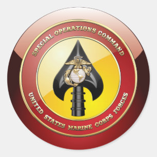 USMC Special Operations Command (MARSOC) [3D] Classic Round Sticker