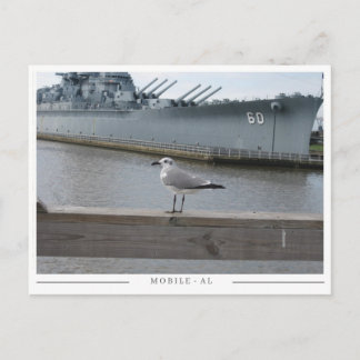 USS Alabama & Seagull – Mobile, AL Souvenir Postcard
