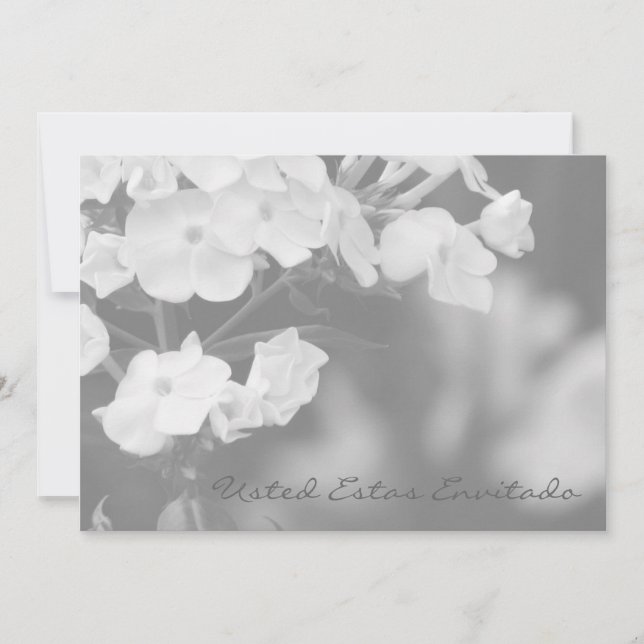 Usted estas envitado (Front)