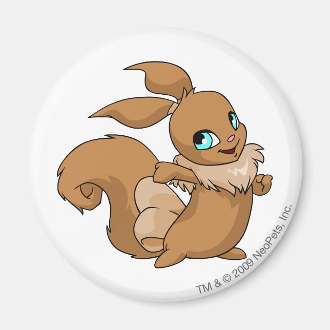 Usul Brown Magnet (Front)
