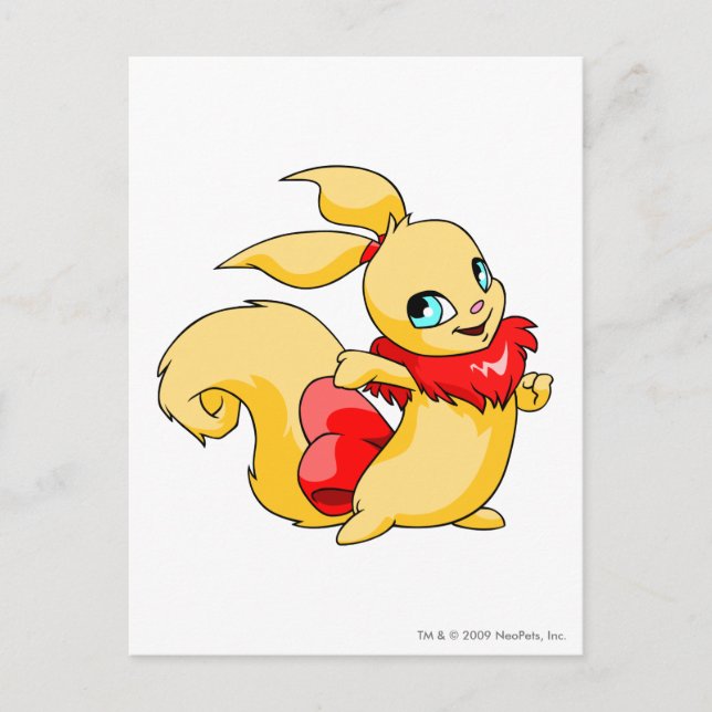 Usul Red Postcard (Front)