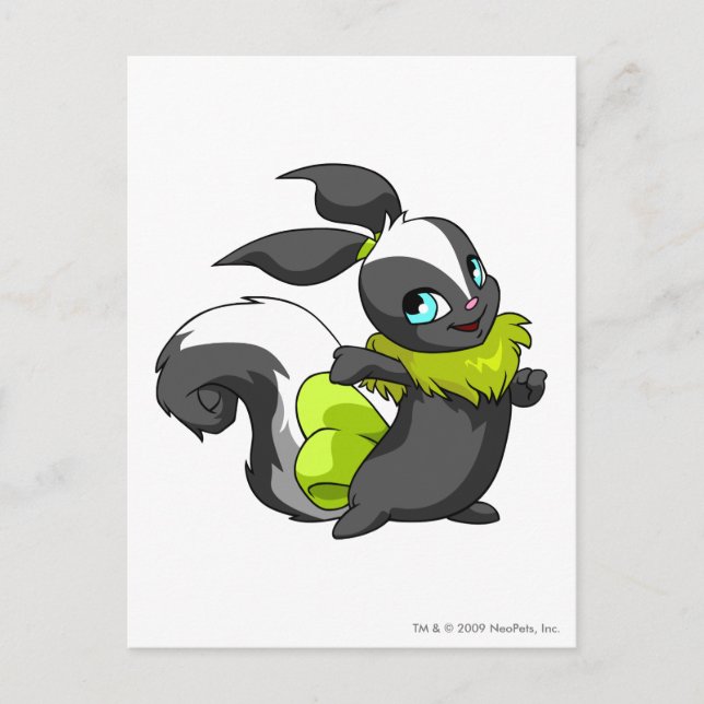 Usul Skunk Postcard (Front)