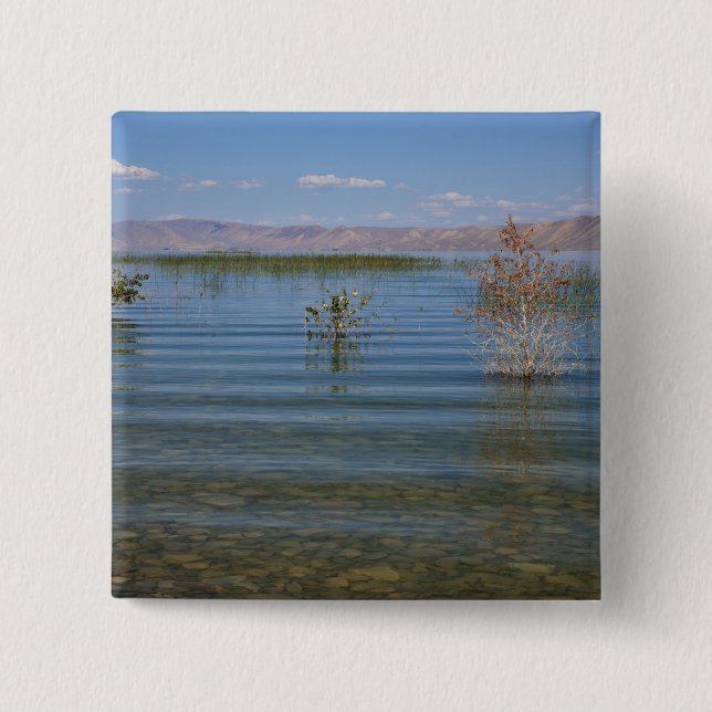 UT, Bear Lake 15 Cm Square Badge (Front)