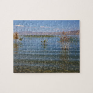UT, Bear Lake Jigsaw Puzzle