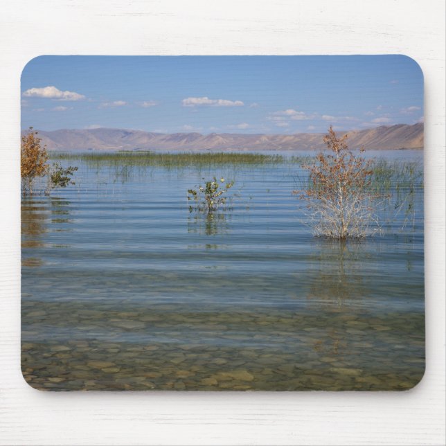 UT, Bear Lake Mouse Pad (Front)