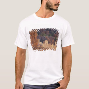 Utah, Bryce Canyon National Park. Hoodoos, T-Shirt