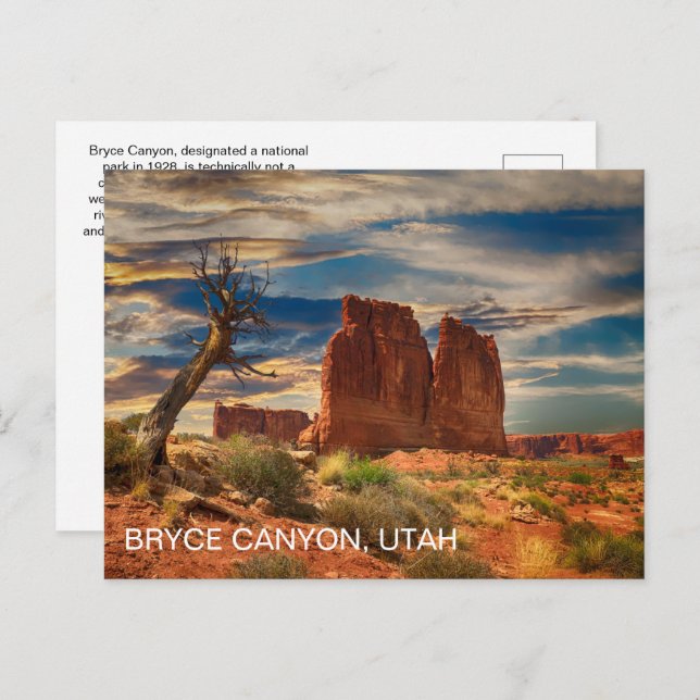 Utah Bryce Canyon National Park Postcard (Front/Back)