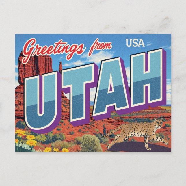 Utah Desert Bobcat Monument Valley Postcard (Front)