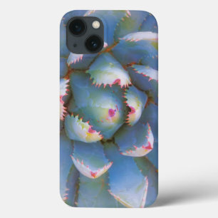 Utah, Dixie National Forest. Close-up of yucca iPhone 13 Case