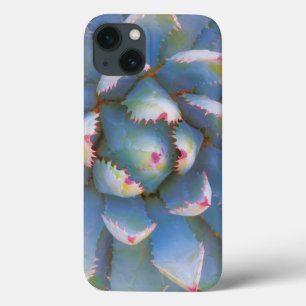 Utah, Dixie National Forest. Close-up of yucca iPhone 13 Case