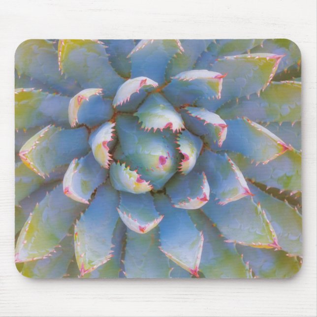 Utah, Dixie National Forest. Close-up of yucca Mouse Pad (Front)