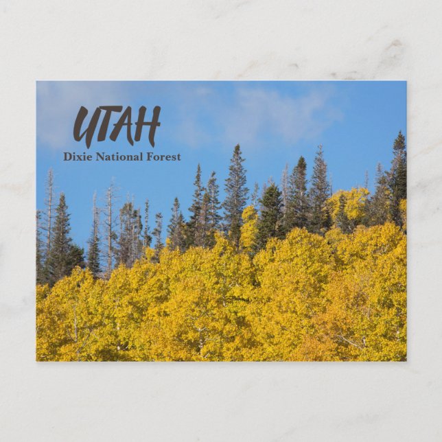 Utah Dixie National Forest Postcard (Front)