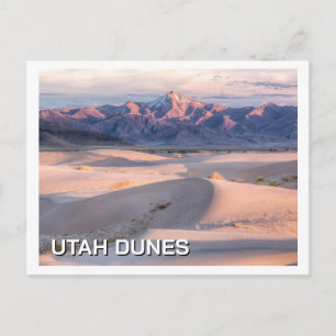 Utah Dunes West Desert Photo Postcard