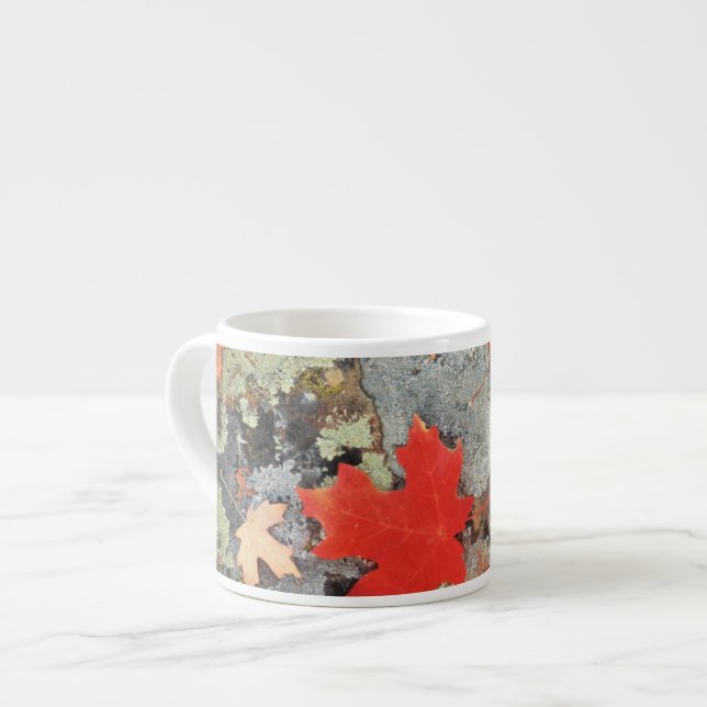 Utah, Fishlake National Forest. Patterns Espresso Cup (Front Left)