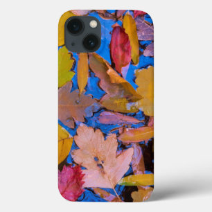 Utah, Glen Canyon National Recreation Area 2 iPhone 13 Case