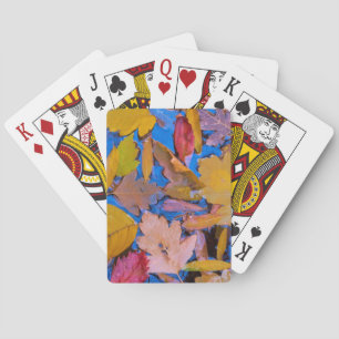 Utah, Glen Canyon National Recreation Area 2 Playing Cards