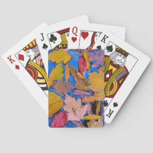 Utah, Glen Canyon National Recreation Area 2 Playing Cards