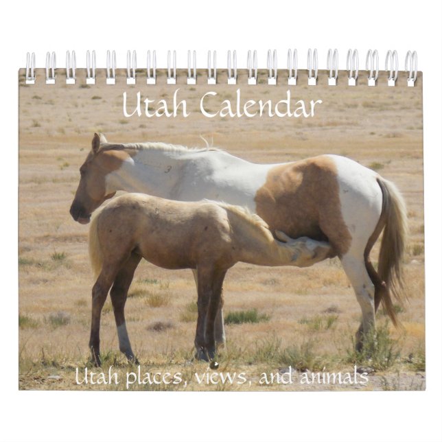Utah Photograph Calendar (Cover)