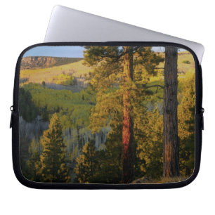 UTAH. Ponderosa pines & aspen, autumn. Sunrise, Laptop Sleeve