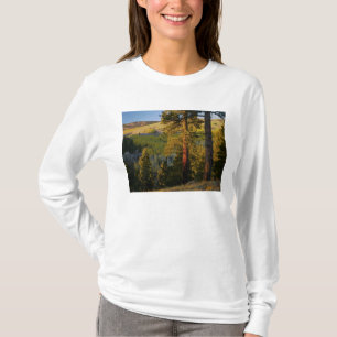 UTAH. Ponderosa pines & aspen, autumn. Sunrise, T-Shirt