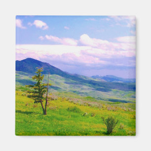 Utah Scenic View Magnet