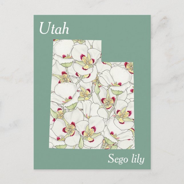 Utah State Flower Collage Map Postcard (Front)