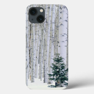 UTAH. USA. Aspen (Populus tremuloides) & Douglas iPhone 13 Case
